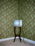 Media 3
