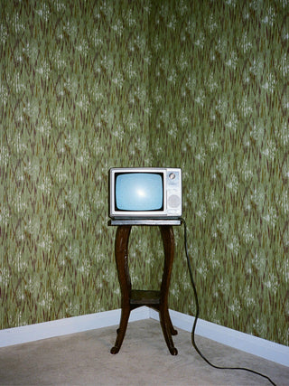 Media 3