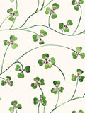 A green clover wallpaper on cream background, with flowing abundant stems and jaunty leaves